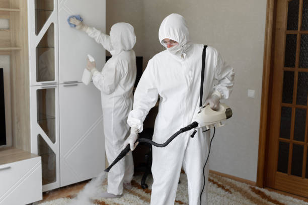Crawl Space Mold Removal in Wentzville, MO